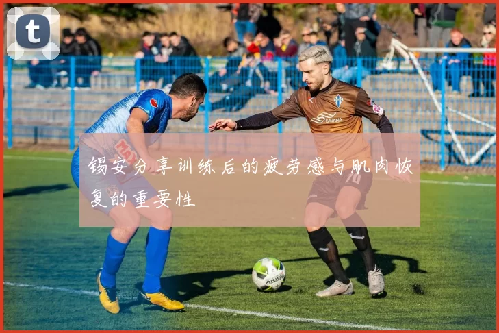 锡安分享训练后的疲劳感与肌肉恢复的重要性
